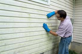 Best Siding Painting and Refinishing  in Onawa, IA